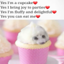 theluckycheesez avatar