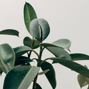 themachineinspace avatar