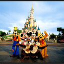 themagicbehindthemouse-blog avatar