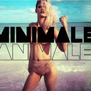 theminimaleanimale avatar