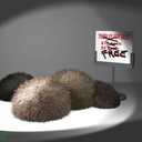 themirrortribble avatar