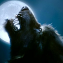 themisanthropiclycanthrope avatar