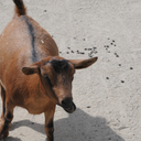 themonsterunderthebed avatar