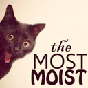 themostmoist-blog avatar