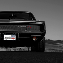 themusclecar avatar