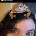 theneedyseaflea avatar