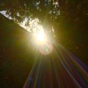 thenerdwhoattacks avatar