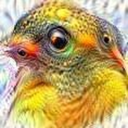 thenumbergenerator avatar