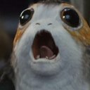 thenumberslost avatar