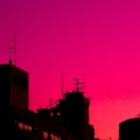 theodorofrain avatar