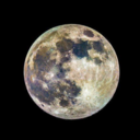 theonetruesardine avatar