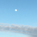 theossimsblog avatar