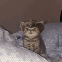 theoverboardgaygirl avatar