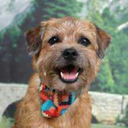 thepeckhamboi avatar