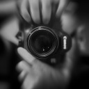 thepictorialist avatar