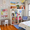 theplontcollector avatar