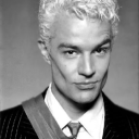 theplumclub79 avatar