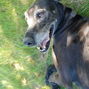 thepowerofarsky avatar