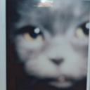 thepressureabove avatar