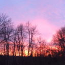 thepricepaidistoomuch avatar