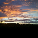 theprincessandponies avatar