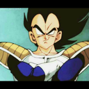 theprincesscalledvegeta-blog avatar