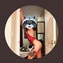 thequeerraccoon avatar