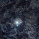 theramblingvoid avatar