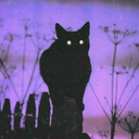 thereelingmidnight avatar