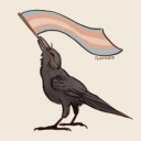 theres-a-starman avatar