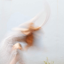 theres-glitter-in-our-hair avatar