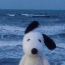 theresbeena-glitch avatar