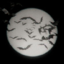 therockcryptid avatar