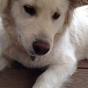 thesandandthesea avatar