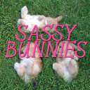 thesassybunnies avatar