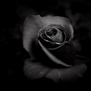 these-precious-things avatar