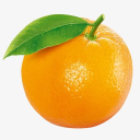 thesecondcitrus avatar