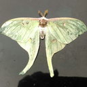 thesecretloft avatar