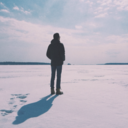 thesemaginotlines avatar