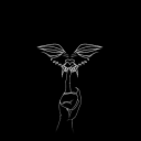 theshywolf-art avatar