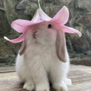 thesmallcoffeebean avatar