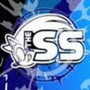 thesonicshow avatar