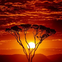 thesunshinesonall avatar