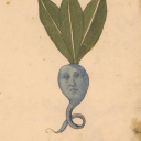 thesunsinkstothewest avatar