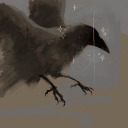 thesunwhisperer avatar