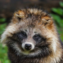 thetanuki avatar