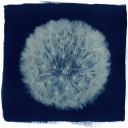 thetendertongue avatar