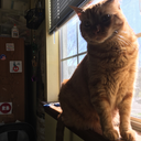 thetenthsphere avatar