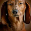 thethreaddebacle2k15 avatar