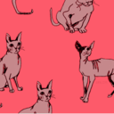 thetimeismeow avatar